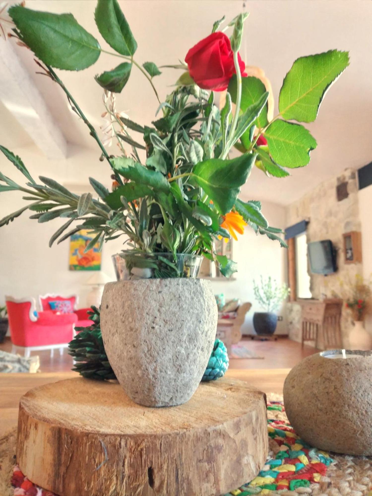Loft Carriones Villa Castilléjar Kültér fotó
